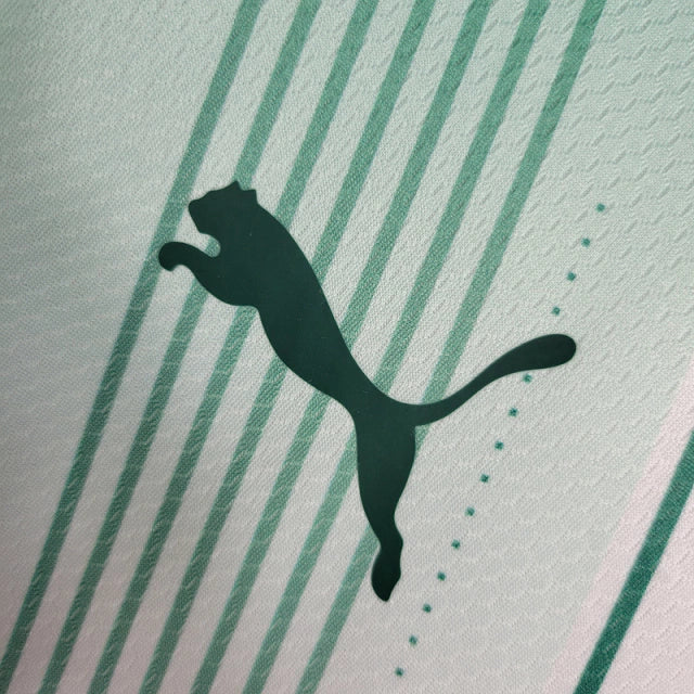 Regata do Palmeiras 23/24