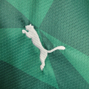Kit Infantil do Palmeiras 23/24 Home