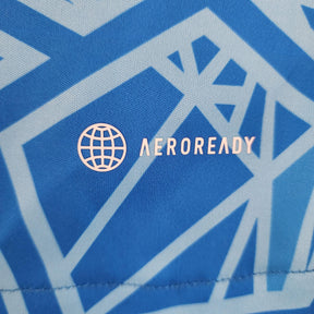 Camisa 22/23 Goleiro